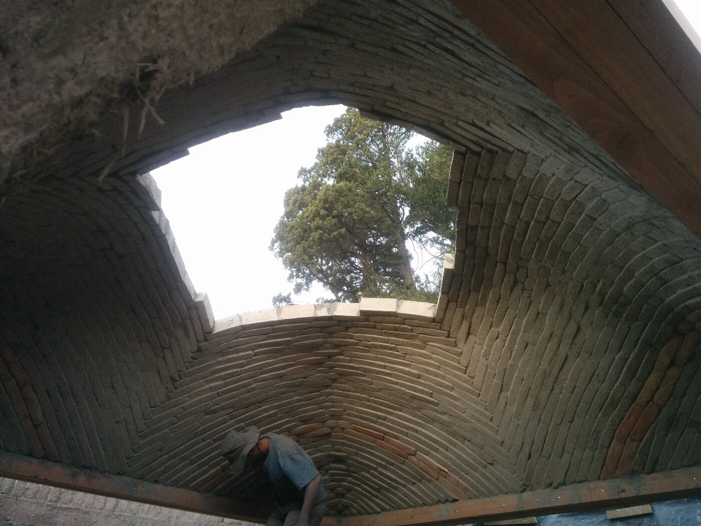 Vista simétrica del interior de la cúpula con árbol enmarcado en el óculo