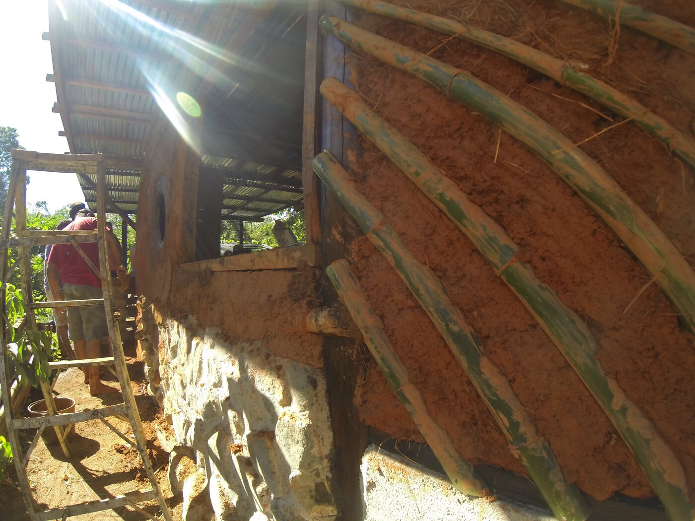 Pared curva con caña verde y luz de sol
